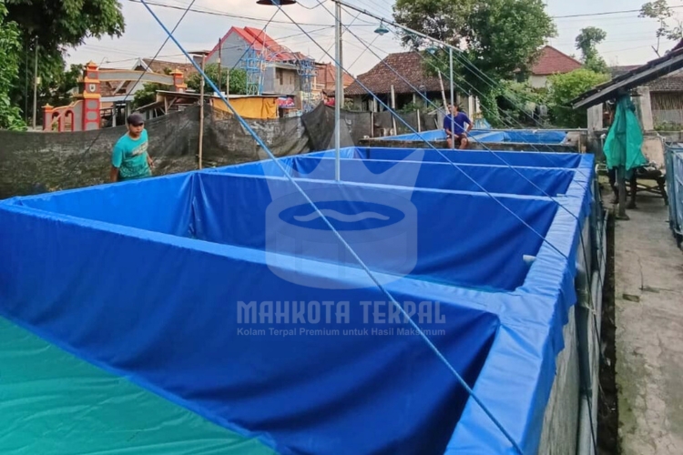 distributor terpal plastik
